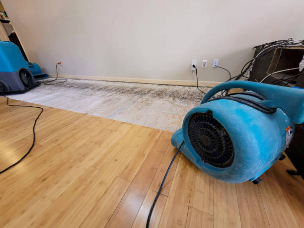 Professional Water Removal technician working in Monticello, FL